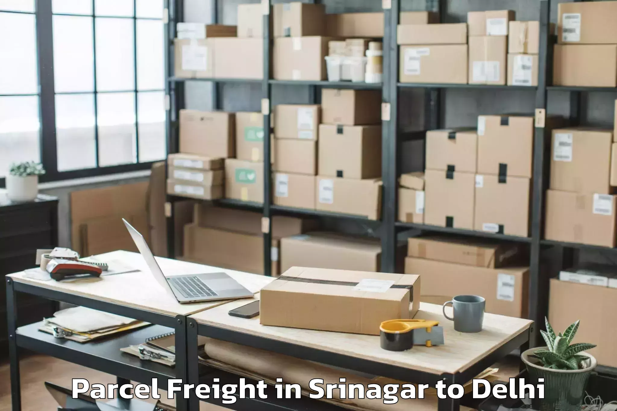 Book Srinagar to Parsvnath Mall Akshardham Parcel Freight Online